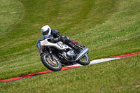Vintage-motorcycle-club;eventdigitalimages;mallory-park;mallory-park-trackday-photographs;no-limits-trackdays;peter-wileman-photography;trackday-digital-images;trackday-photos;vmcc-festival-1000-bikes-photographs